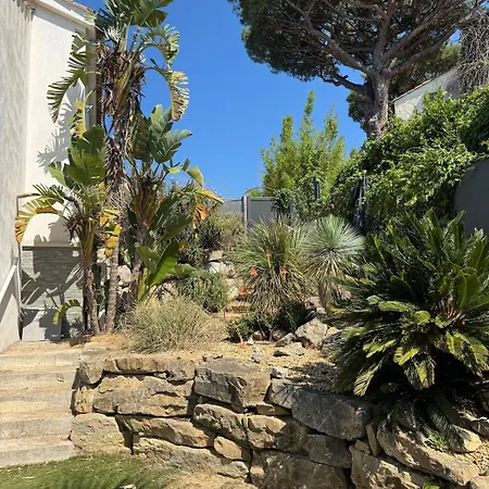 Pinsons Tropez Saint-Tropez